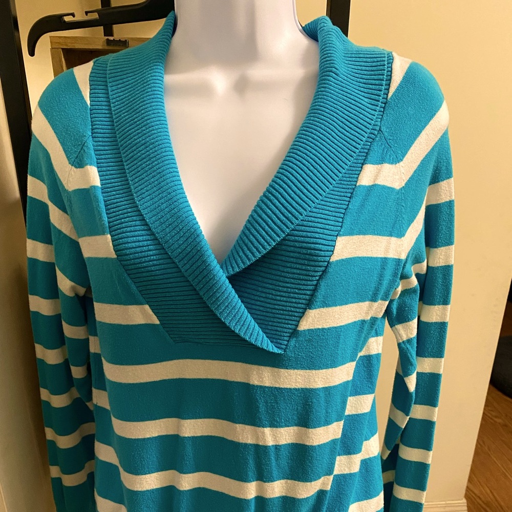 Blue and white long sleeve sweater from target with a deep V-neck.